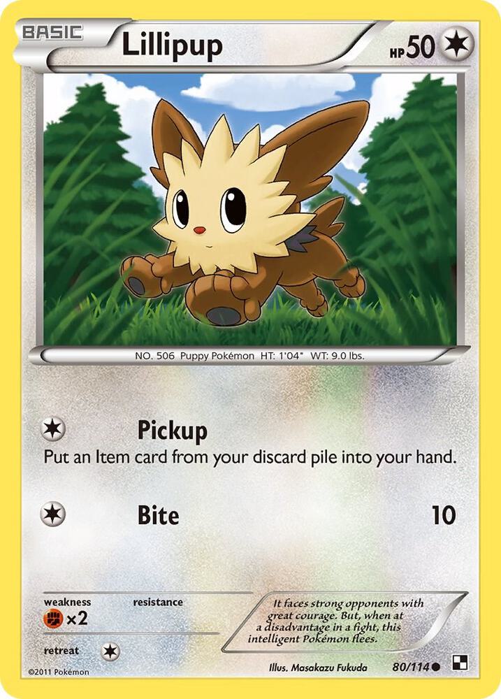 Lillipup 80/114