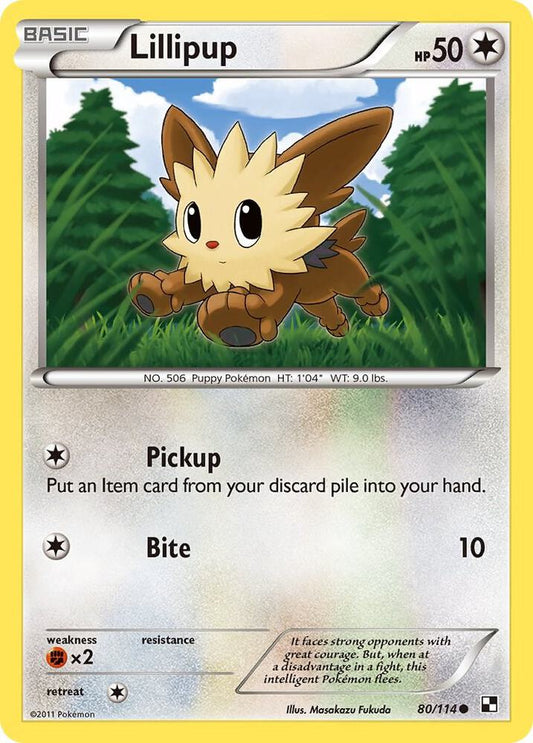 Lillipup 80/114