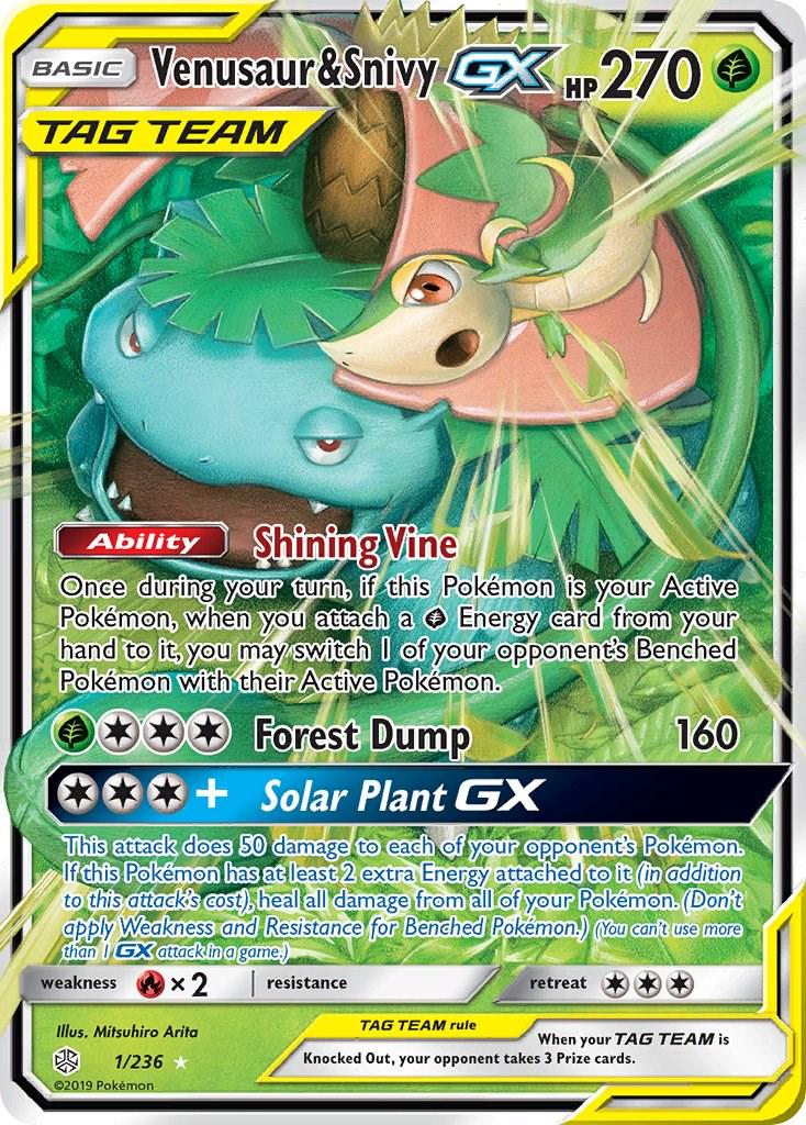 Venusaur & Snivy GX 1/236