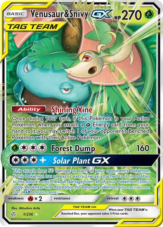 Venusaur & Snivy GX 1/236